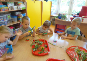 Dzieci obserwują rośliny w sali przedszkolnej.